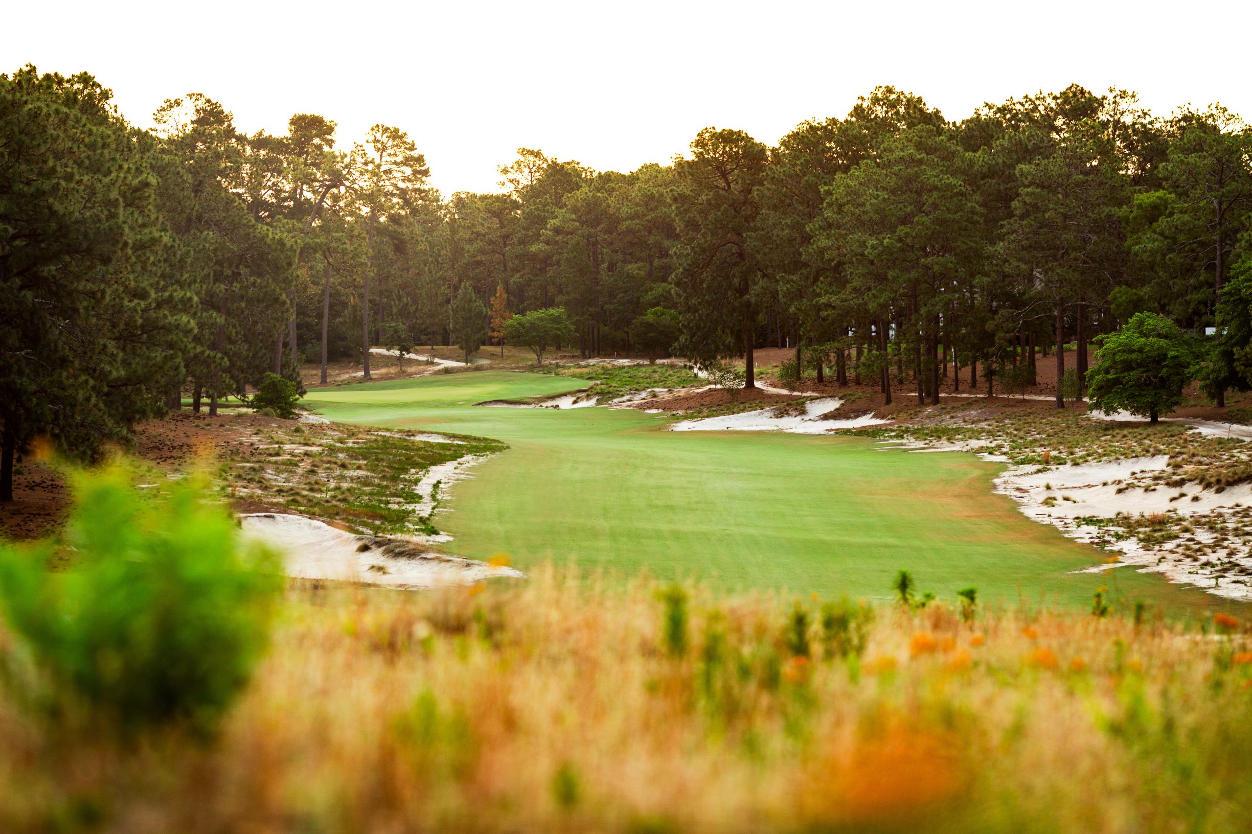 Pinehurst No. 2 | Golf Vacations Magazine